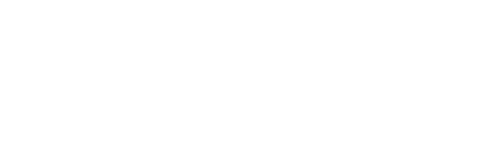 Lunic